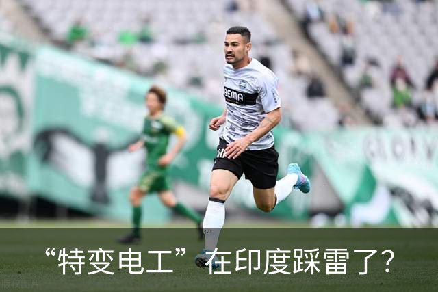 “特变电工”在印度踩雷了？