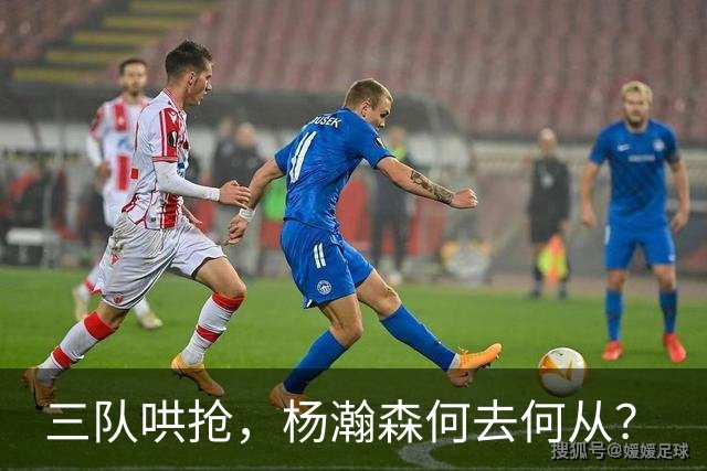 三队哄抢，杨瀚森何去何从？