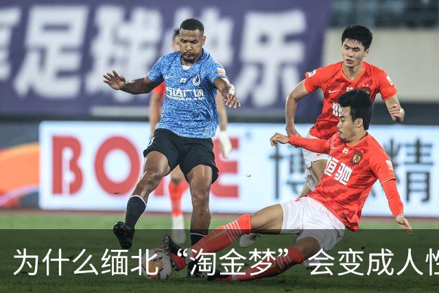 为什么缅北“淘金梦”会变成人性灾难？