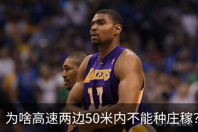 为啥高速两边50米内不能种庄稼？种出来的大米你可能不敢吃
