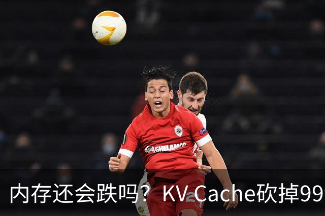 内存还会跌吗？KV Cache砍掉99%，单卡吞吐飙6倍，港科大、CMU联手岩山科技开源新模型