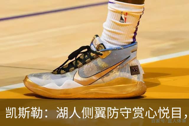 凯斯勒：湖人侧翼防守赏心悦目，靠的就是侵略性