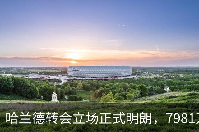 哈兰德转会立场正式明朗，7981万元廉价猎物进入阿森纳视野