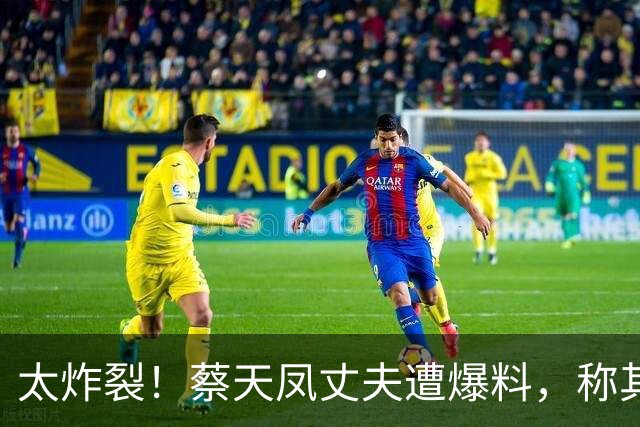 太炸裂！蔡天凤丈夫遭爆料，称其想与邝港智发生关系，谭方骏反驳