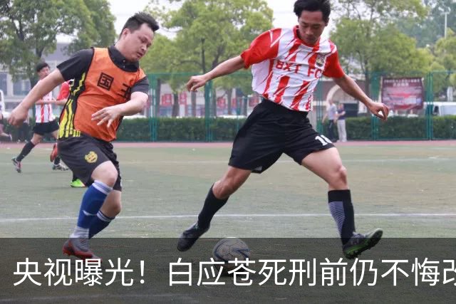 央视曝光！白应苍死刑前仍不悔改，蛇蝎美人白应兰还能躲多久？