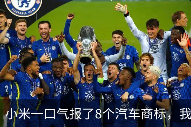 小米一口气报了8个汽车商标，我把名字排了一遍，发现一件事！