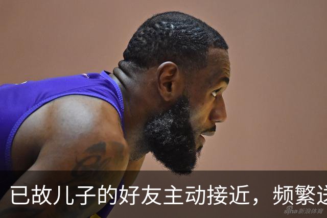 已故儿子的好友主动接近，频繁送上小恩小惠，赢得了女子信任，有一天家人发现其微信和支付宝资金有异常……儿子好友被判刑