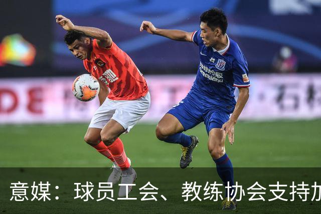 意媒：球员工会、教练协会支持加利亚尼竞选足协主席