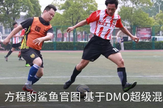 方程豹鲨鱼官图 基于DMO超级混动越野平台打造