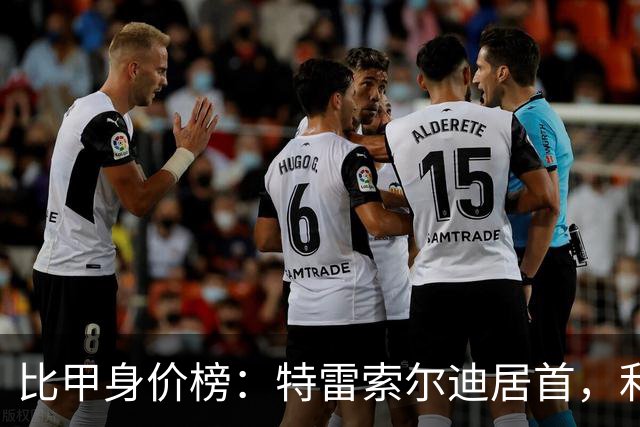 比甲身价榜：特雷索尔迪居首，利物浦新援布鲁曼斯上涨1600万欧