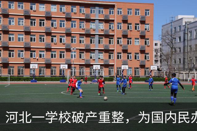 河北一学校破产重整，为国内民办高职规模最大的破产重整案之一