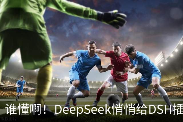 谁懂啊！DeepSeek悄悄给DSH插件开发者发钱了