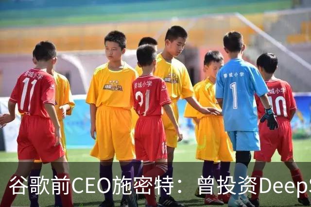 谷歌前CEO施密特：曾投资DeepSeek未果，中美AI差距仅剩不到6个月！若中国大模型策略是免费，西方已经在输