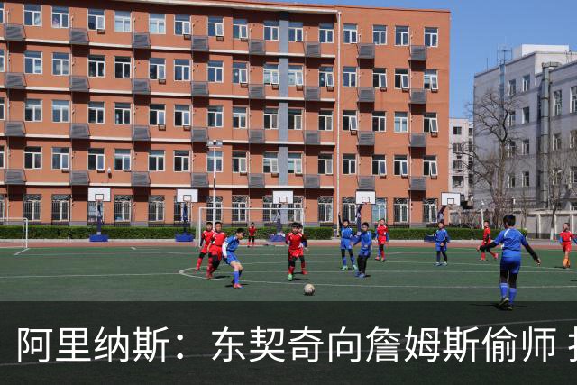 阿里纳斯：东契奇向詹姆斯偷师 找到了延续伟大的秘方