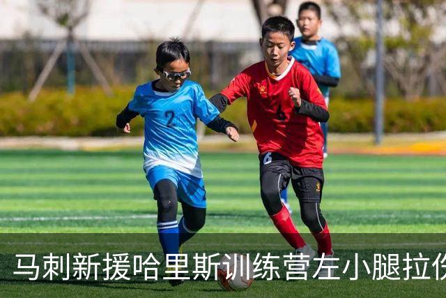 马刺新援哈里斯训练营左小腿拉伤，将缺席季前赛