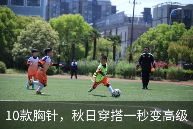 10款胸针，秋日穿搭一秒变高级