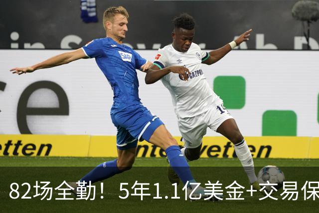 82场全勤！5年1.1亿美金+交易保证金！勇士大手笔签约波姐